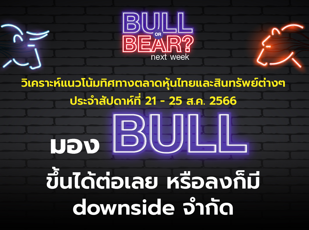 bull bear (10)