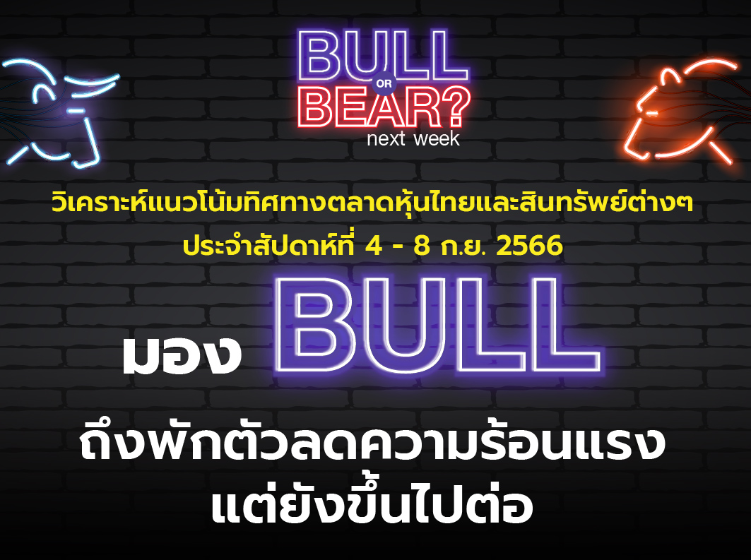 bull bear (11)