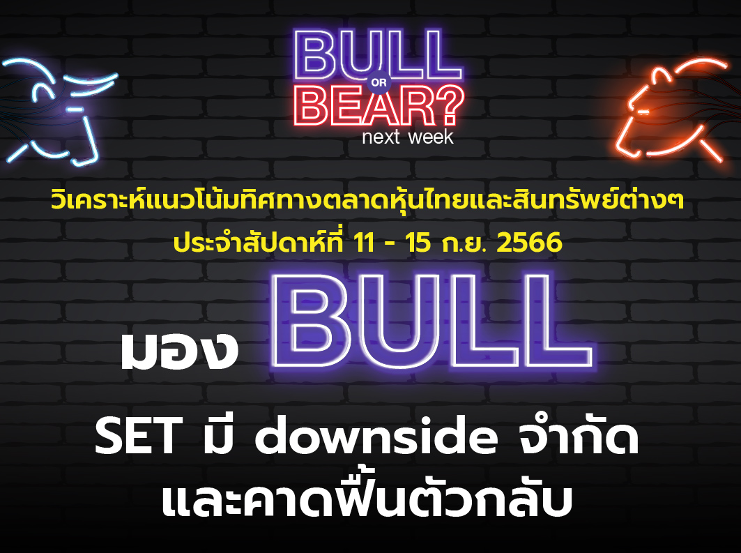 bull bear (12)