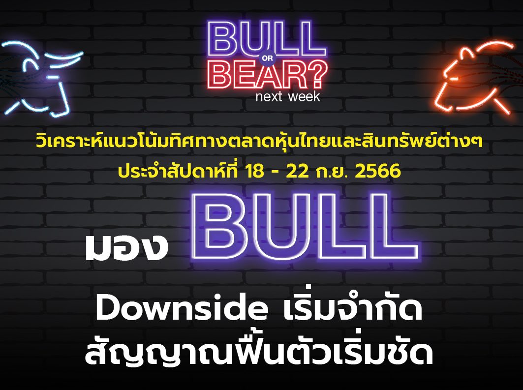 bull bear (13)