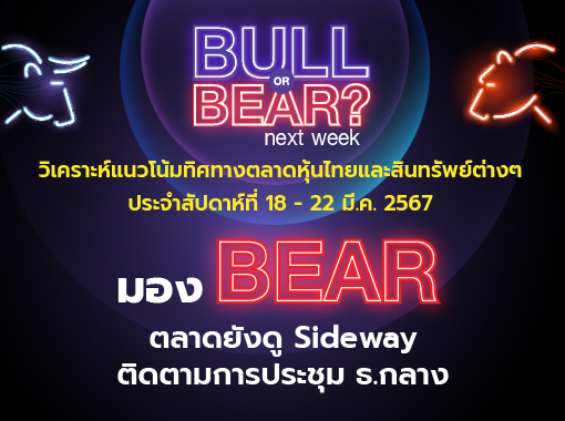 bull bear (27)