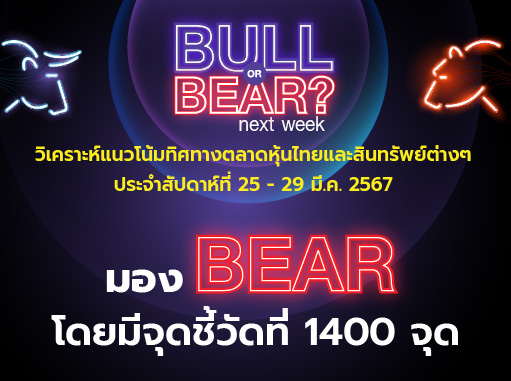 bull bear (28)
