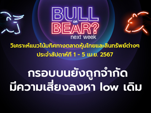bull bear (29)