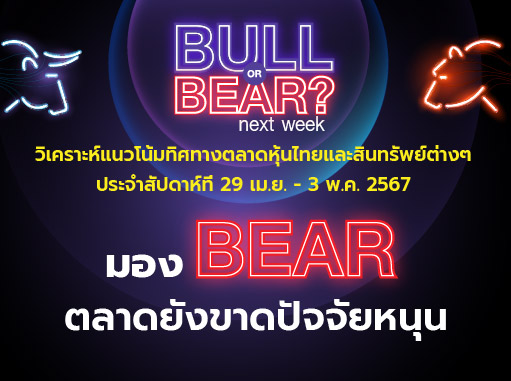 bull bear (30)
