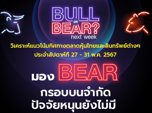 bull bear (33)