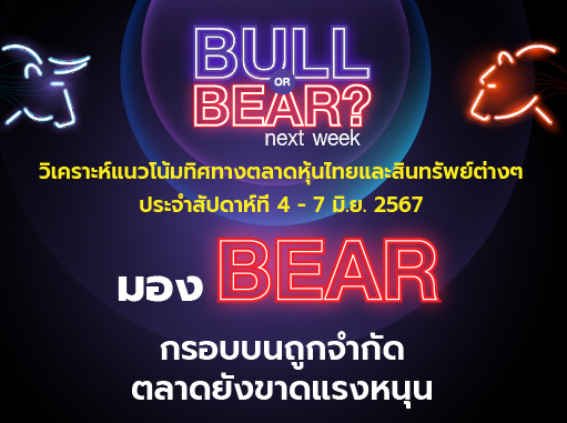bull bear (34)
