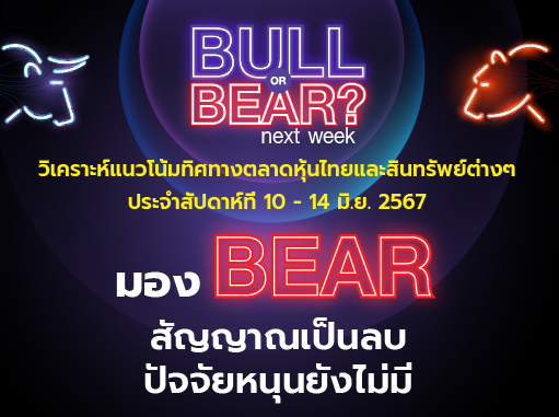 bull bear (35)