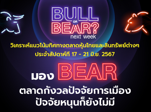 bull bear (36)