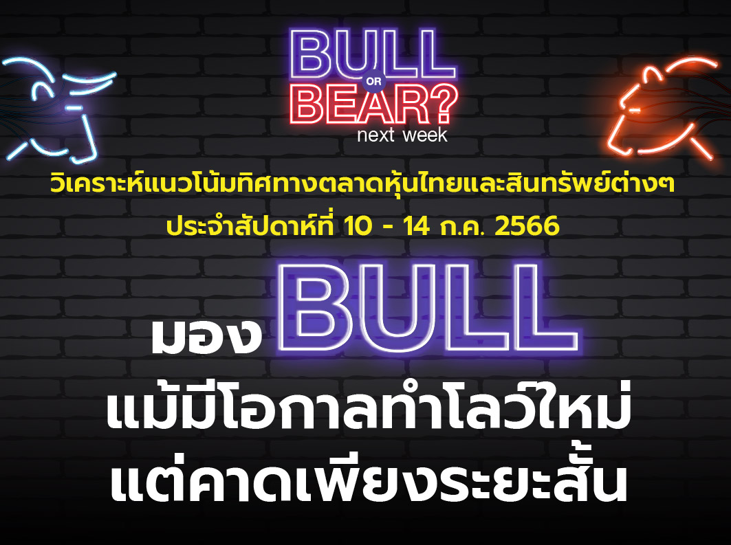 bull bear (6)