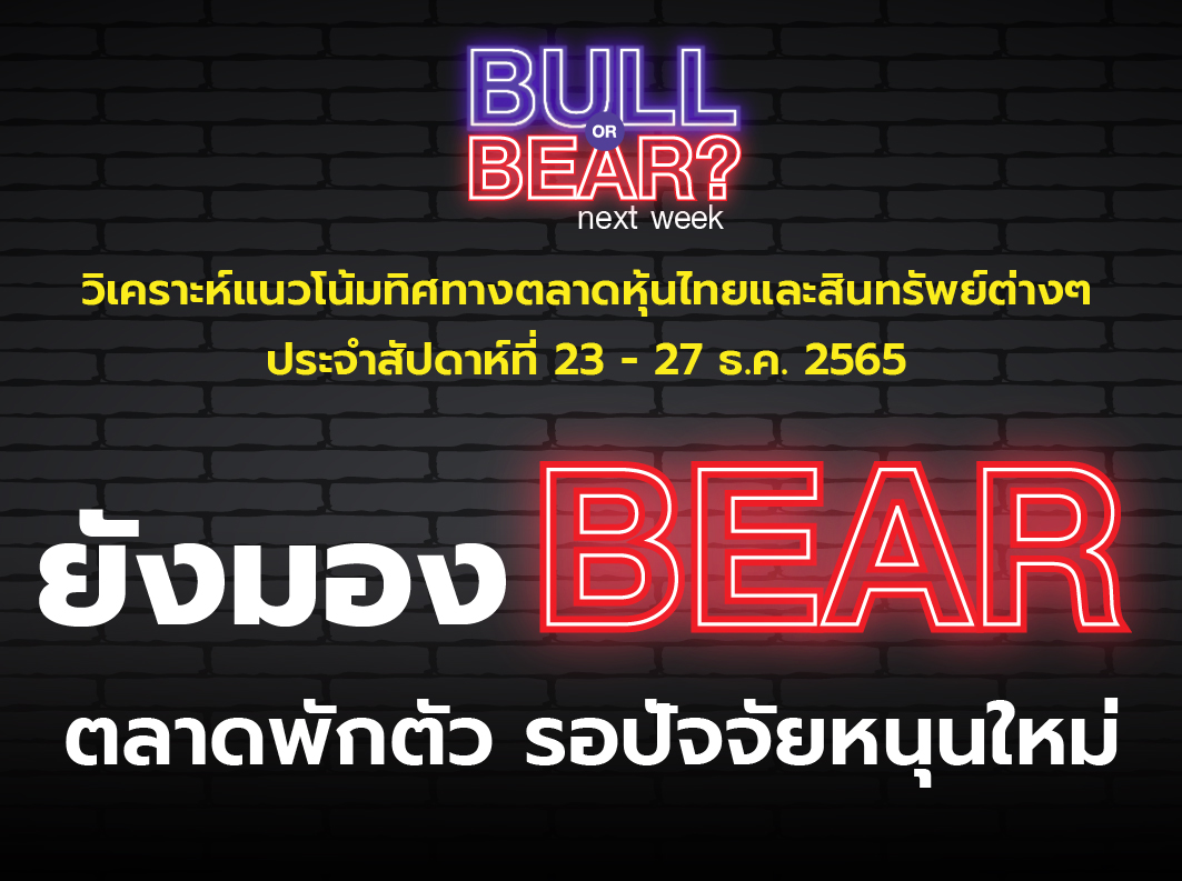 bull bear (1)