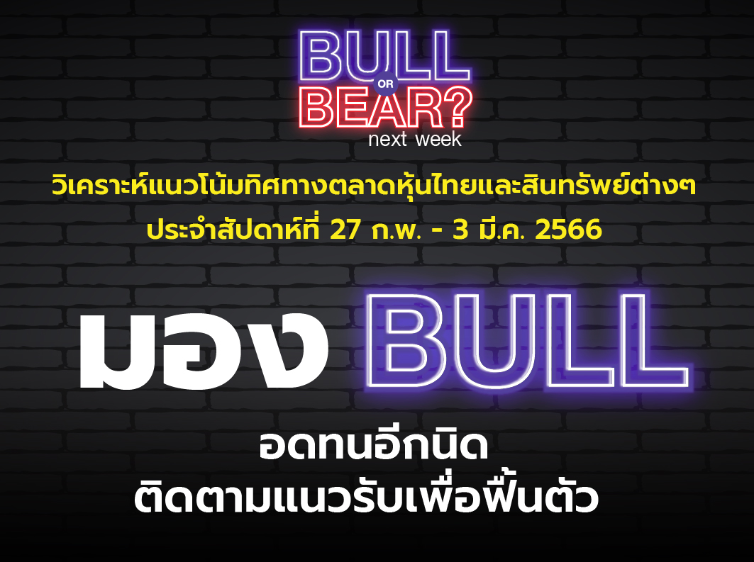 bull bear (3)
