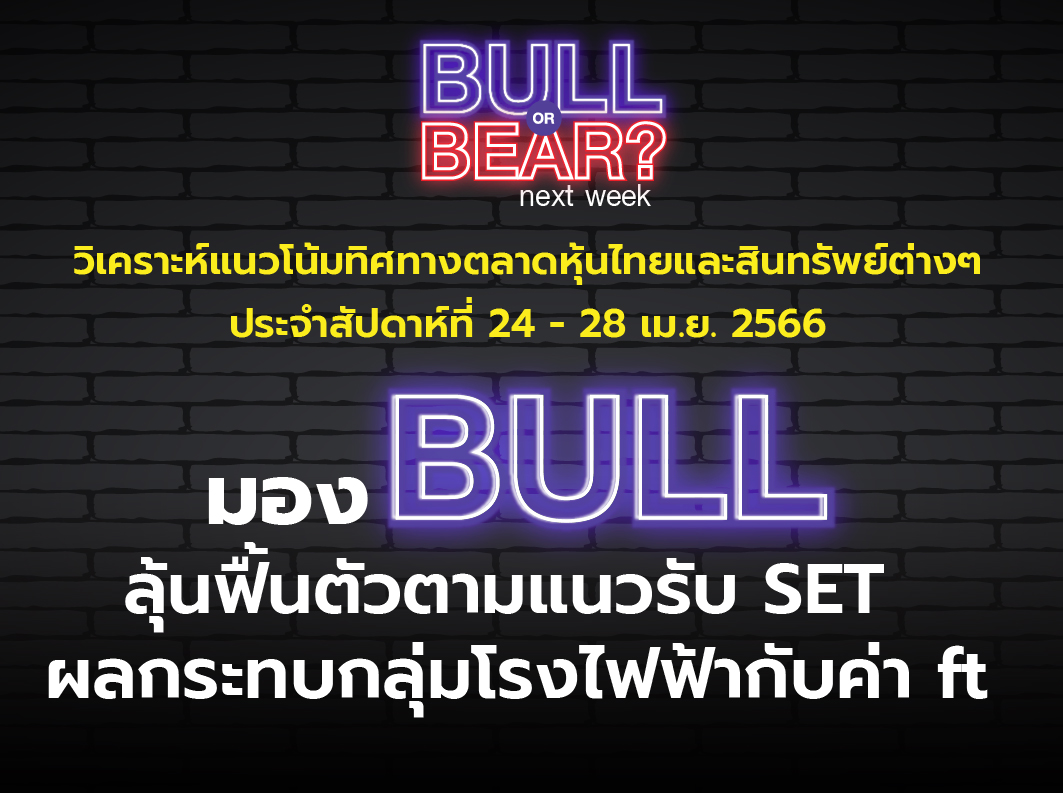 bull bear (4)