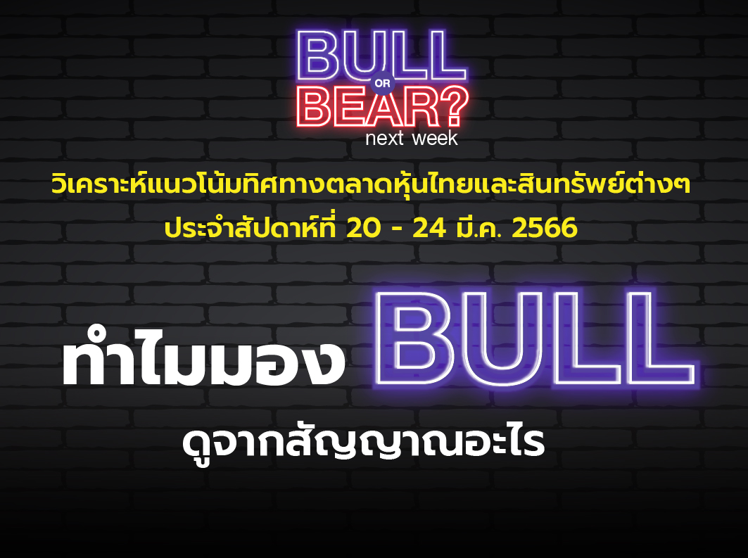 bull bear (6)