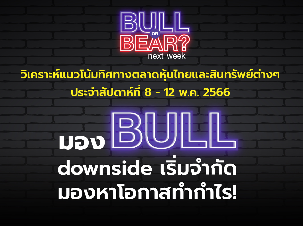 bull bear