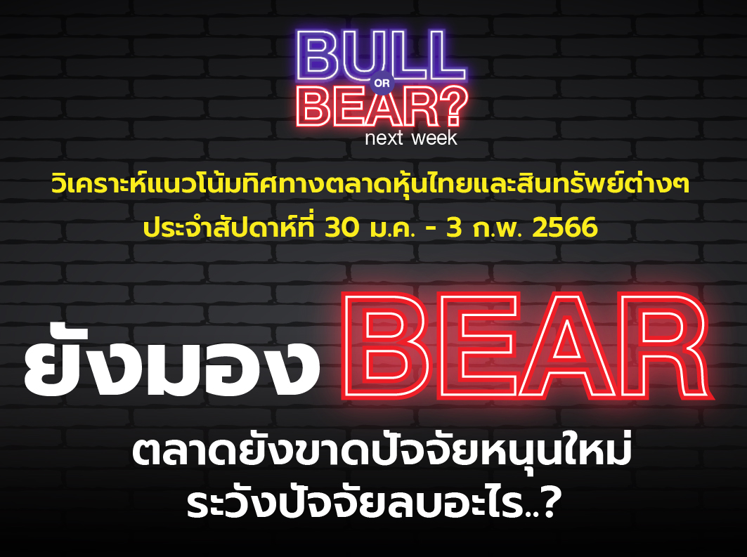 bull bear